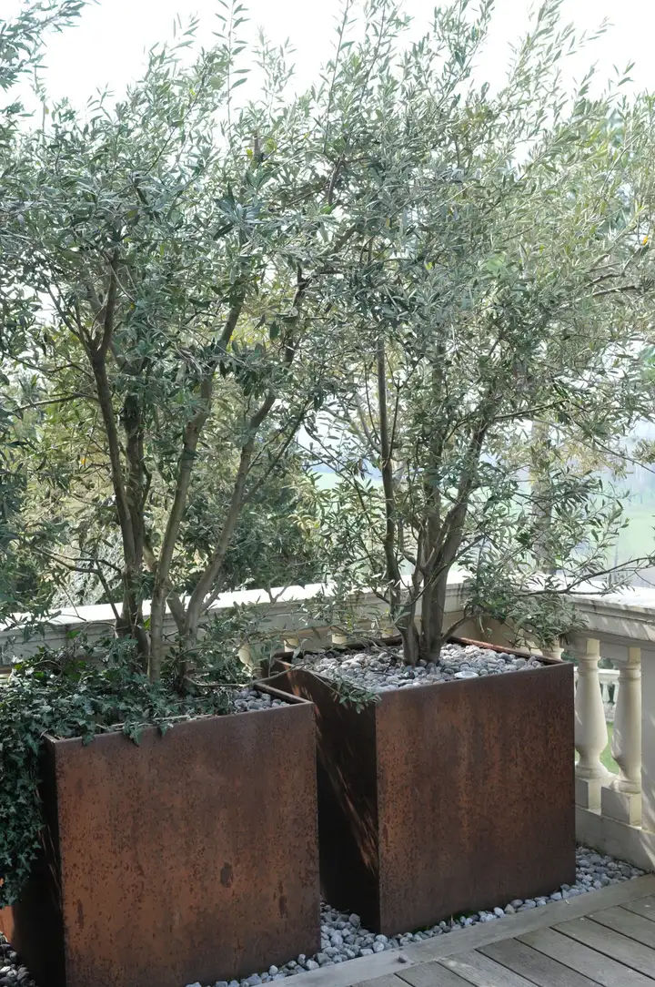 Outdoor.